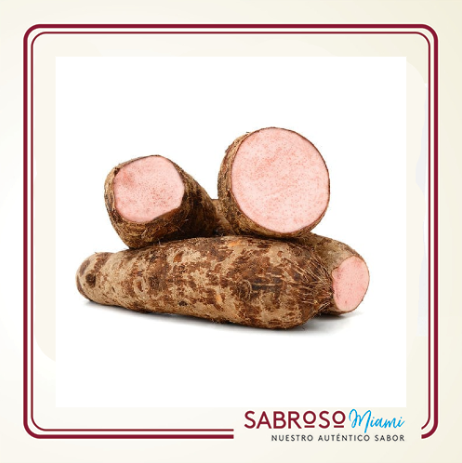 Malanga 3 Libras